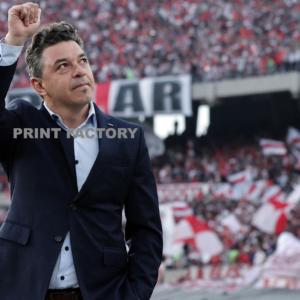 Cuadro Marcelo Gallardo