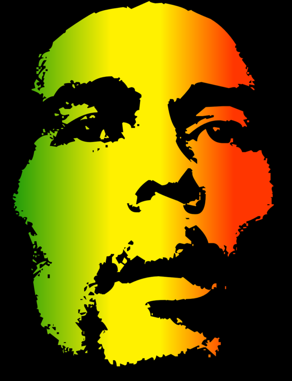 Cuadro Bob Marley